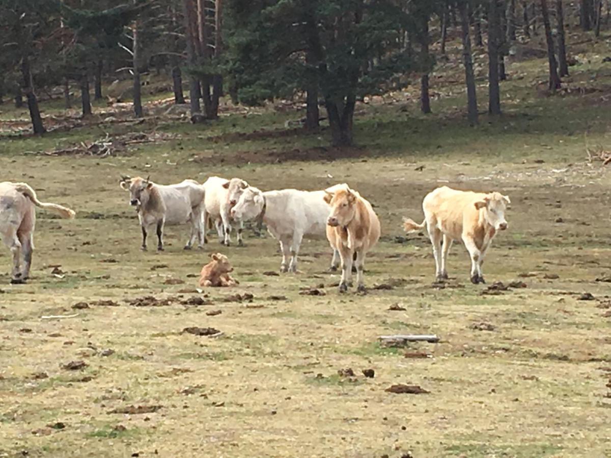 Casa Rural Senderismo Lumbreras Kültér fotó